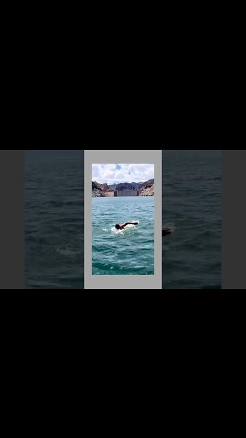 Swimming Secrets of Khabib: Behind the Scenes #shorts