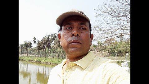 Jessore's centenary, banyan trees are full of birdsong