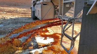 DURHAM REGIONAL LANDFILL LIQUID PIT