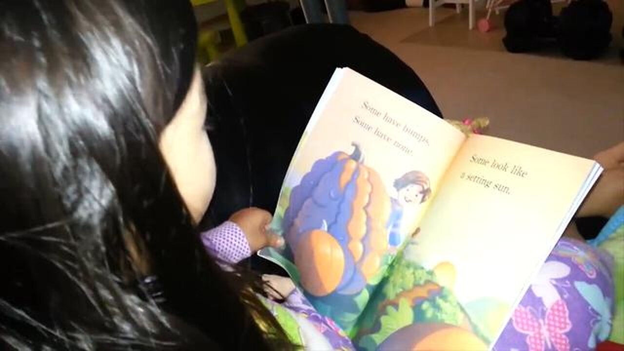 The Children Learning Reading Program: Your Child's Key to Reading Success