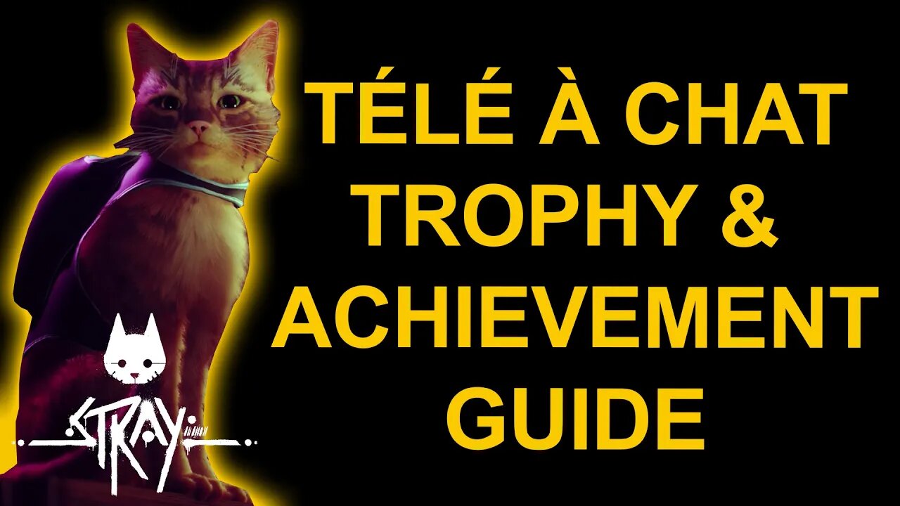 Tele A Chat - Stray - Trophy / Achievement Guide