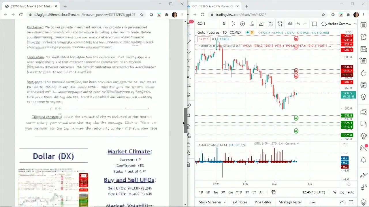 AutoUFOs 3-D Market Commentary (Becky Hayman) 2021 Mar-19