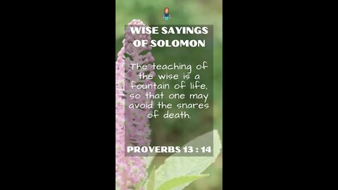 Proverbs 13:14 | Wise Sayings of Solomon