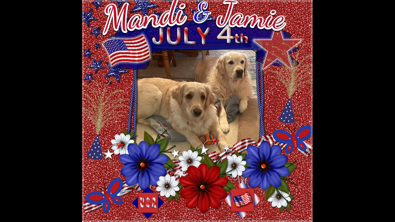 Golden Retrievers: Hearts of Gold - Independence Day 2024