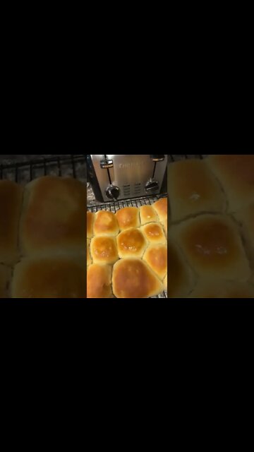 Texas Rd., House #TexasRoadhouse