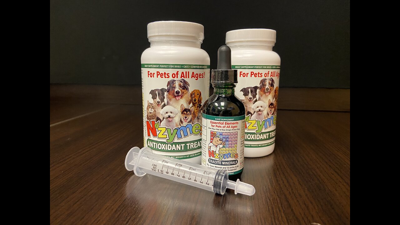 Nzymes Neurologic Support Kit for Dogs