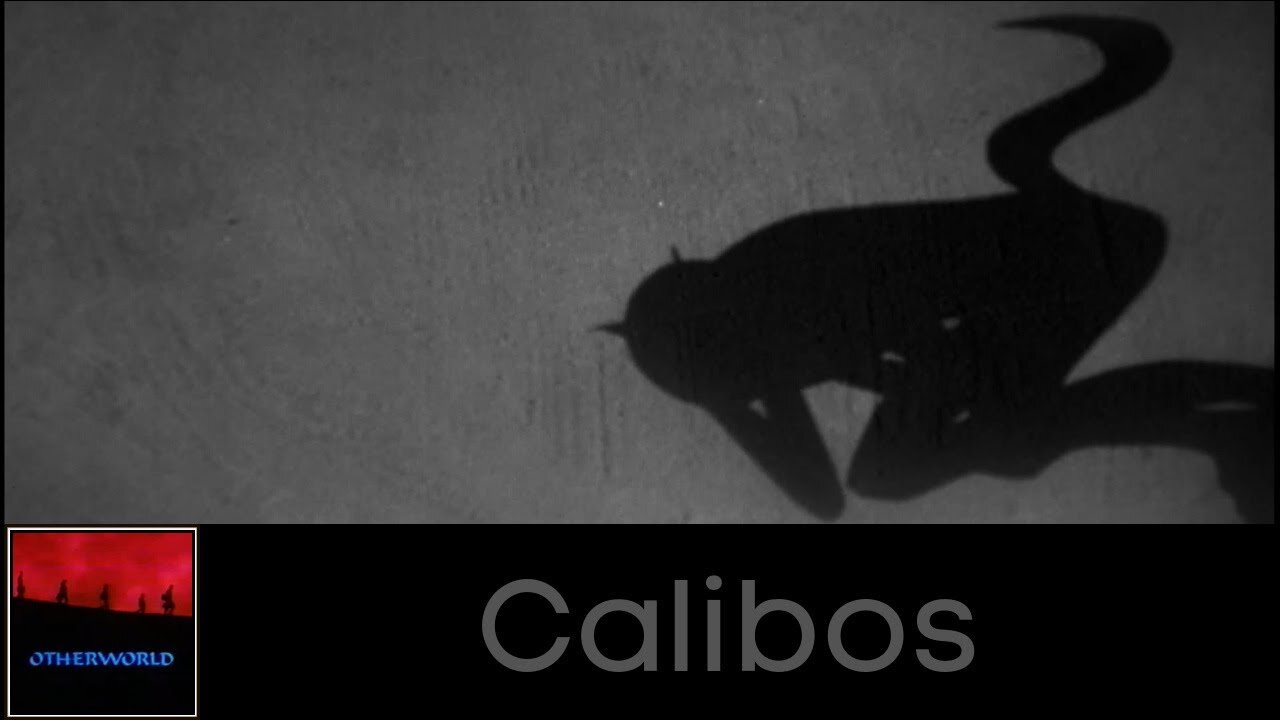 Calibos