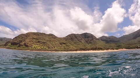 HAWAII SPEARFISHING