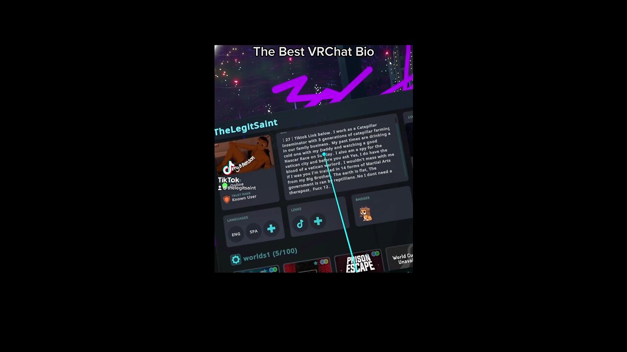 Best VRChat Bio Ever Made