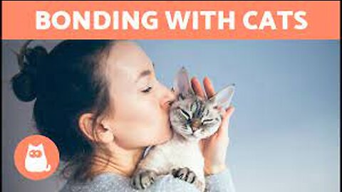 How to REBUILD a CAT correctly 🐱✅ (Feline Education