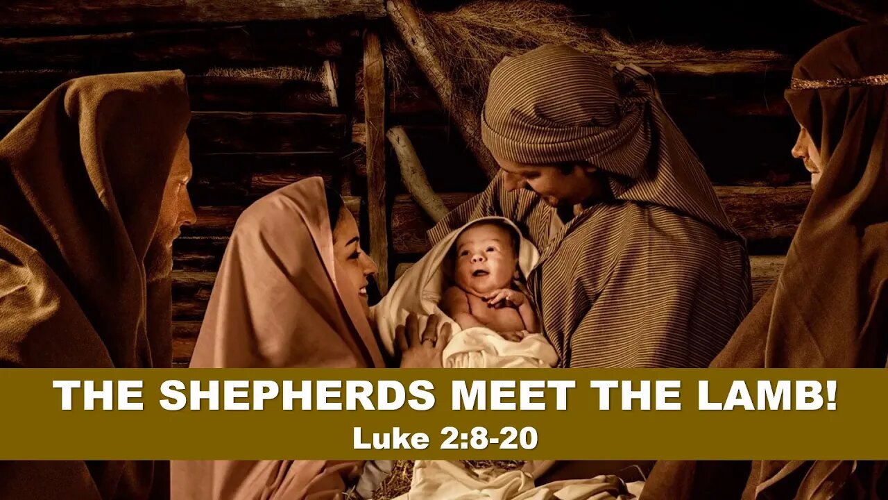 The Shepherds Meet The Lamb