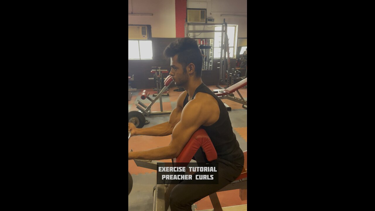 Preacher curls exercise tutorial