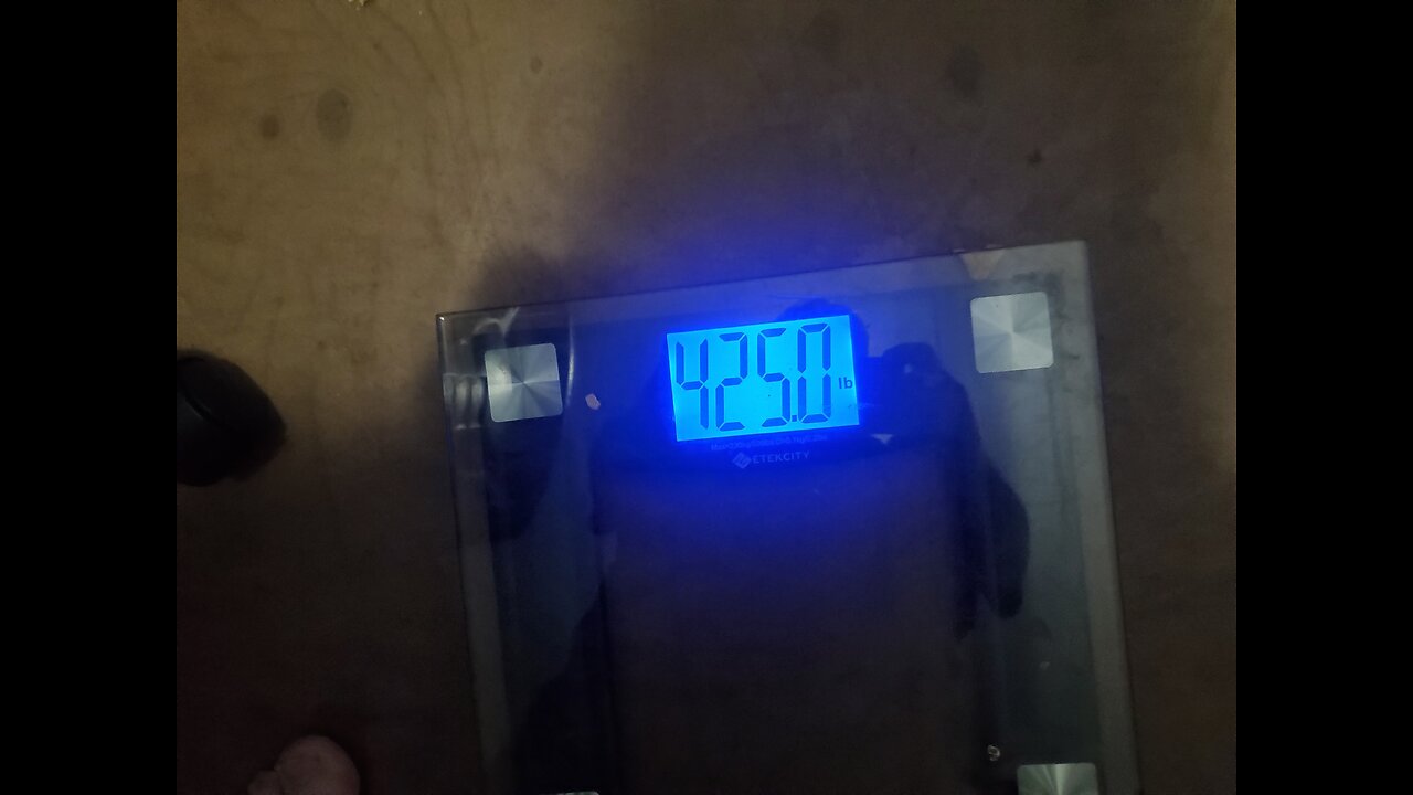 Weigh-In Aug 31, 2023