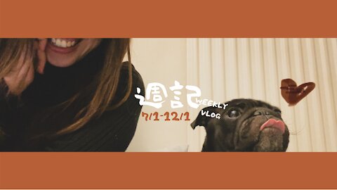 週記 7-11/1 Weekly vlog