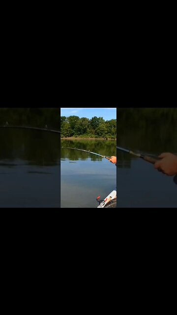 Disaster on the Ohio River