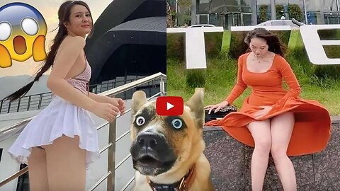 Funniest Animals Videos 2023 😍 Funniest Dogs And Cats 🐱🐶