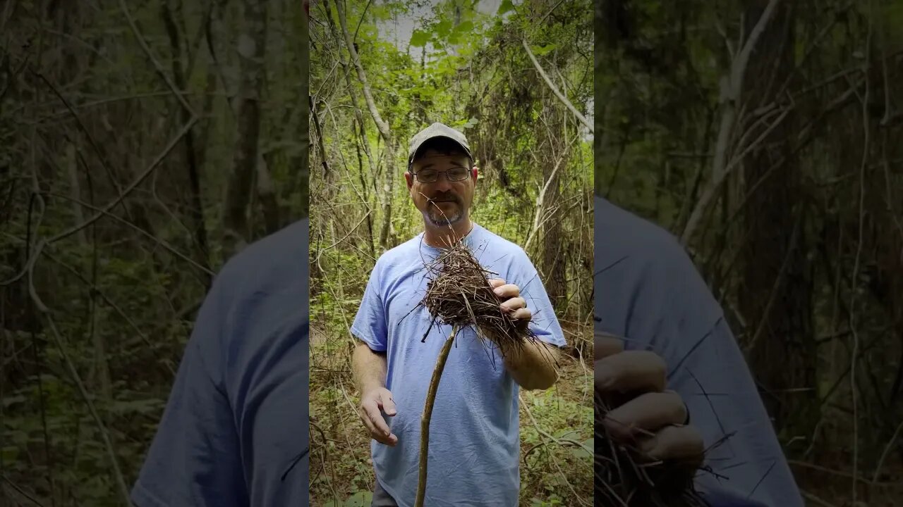 Starting a fire with wet tinder and steel wool