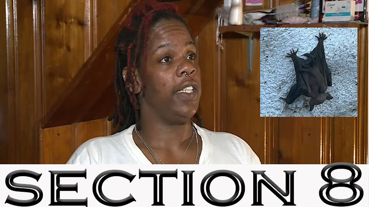 Section 8 Resident Home Invaded by Bats