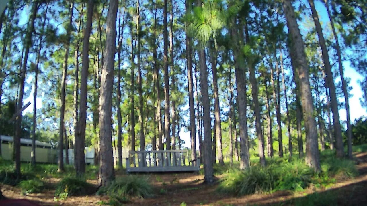 Just some Friday Ranch Tranquility