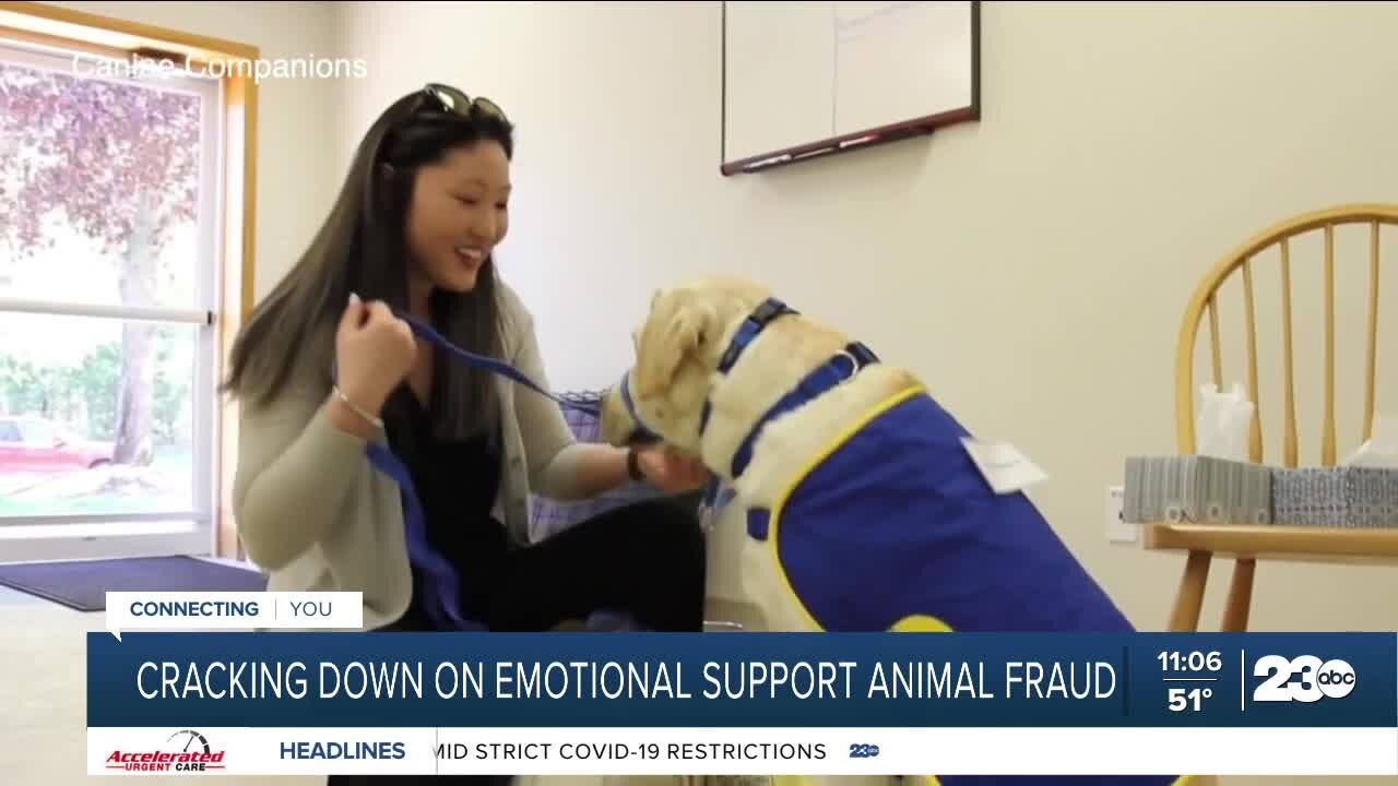 AB468 Cracks down on emotional support animal fraud