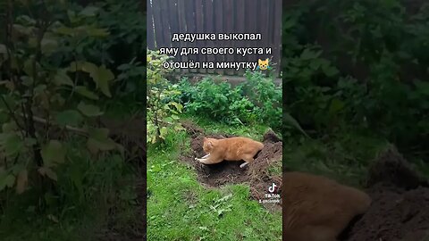 Помощник 🙂