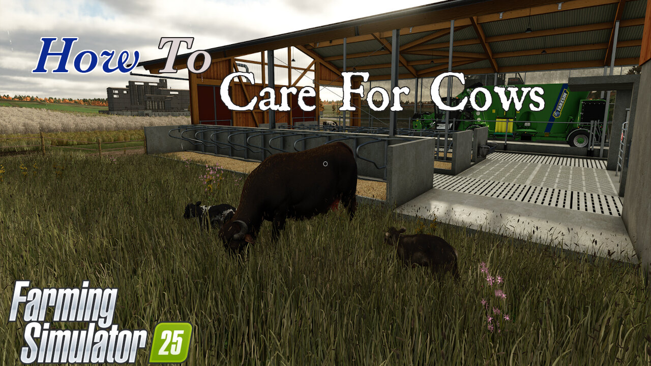 How To | Care For Cows | Farming Simulator 25