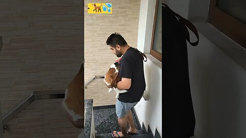 Emergency Situation !! #shortvideos #shorts #trending