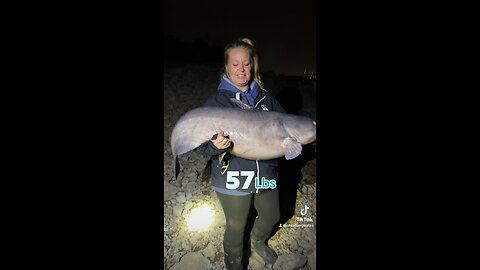 57lb Blue Catfish! 🙌🏼😎🎣