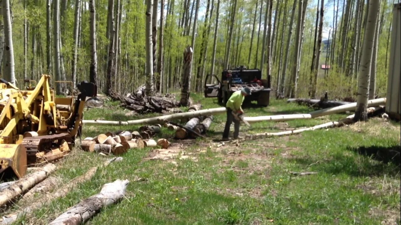 Stihl Chainsaw Clearing Trees at the Cabin Spring 2020