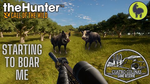 Starting to Boar Me, Cuatro Colinas | theHunter: Call of the Wild (PS5 4K)