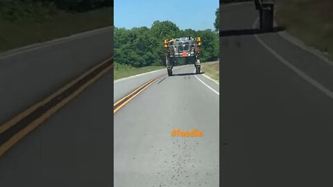 #homesteading #foodie apologies about the shaking phone