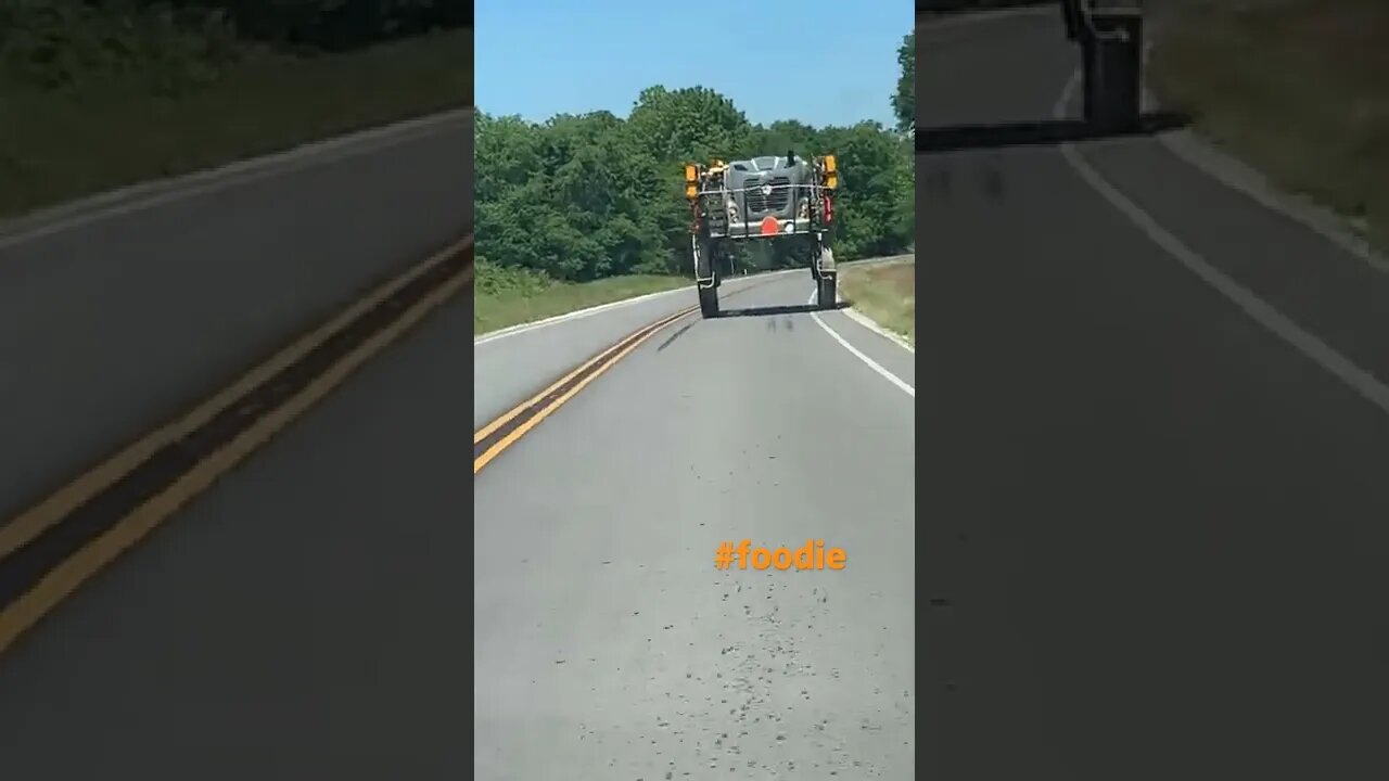 #homesteading #foodie apologies about the shaking phone