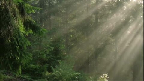 A Journey Of A Lifetime With OneOfAMine