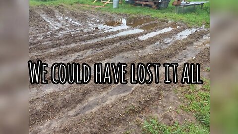 Garden FLOOD. We could have lost a lot of food