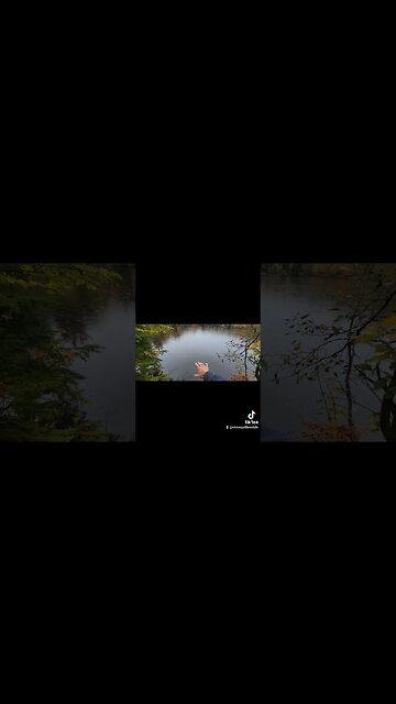 #gooddeeds #newearth #raisethevibetribe #lightworker #ytshortscanada #ytshortsvideo