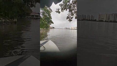Beautiful picture while boating in Kochi,#shorts,#boating,#naturelovers,#sealovers,#tourvlog,#sea