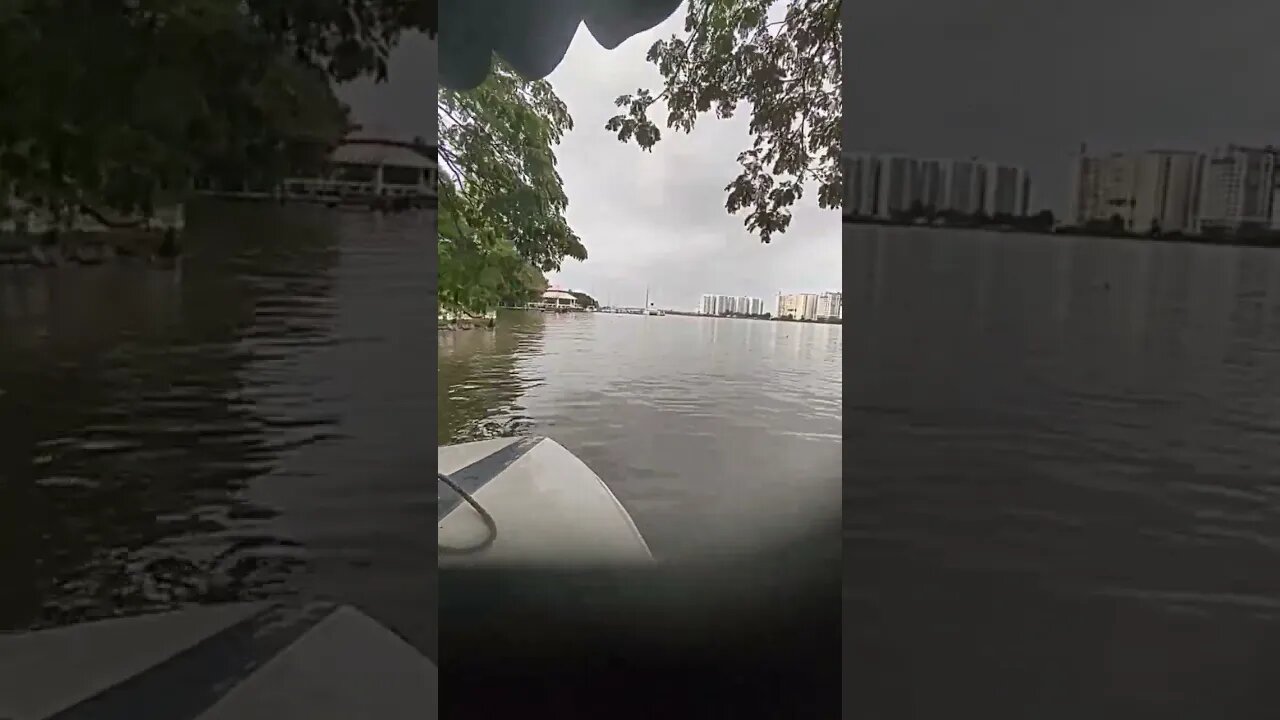 Beautiful picture while boating in Kochi,#shorts,#boating,#naturelovers,#sealovers,#tourvlog,#sea