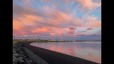 Reykjavík Nights