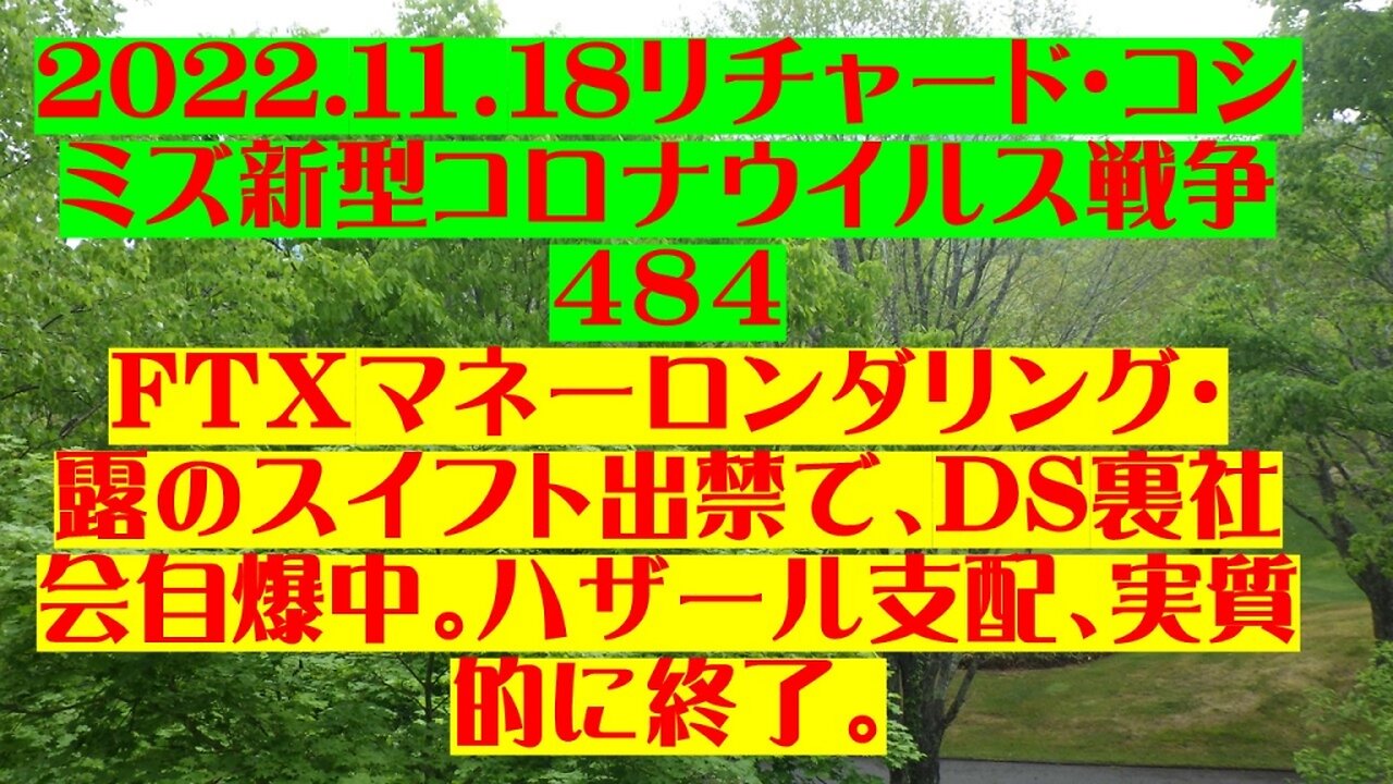 2022.11.18 リチャード・コシミズ新型コロナウイルス戦争484