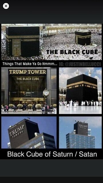 cricket insects inside muslim islam place of mecca