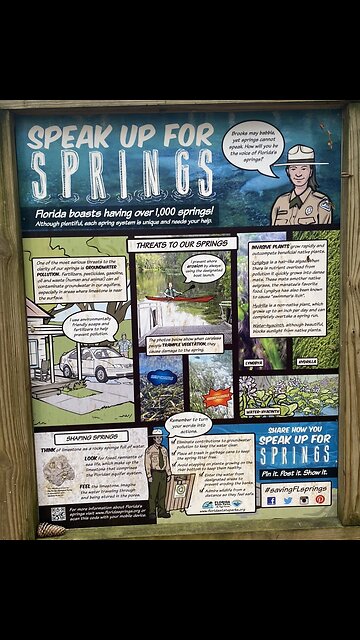 Blue Hole Spring/Ichetucknee Springs