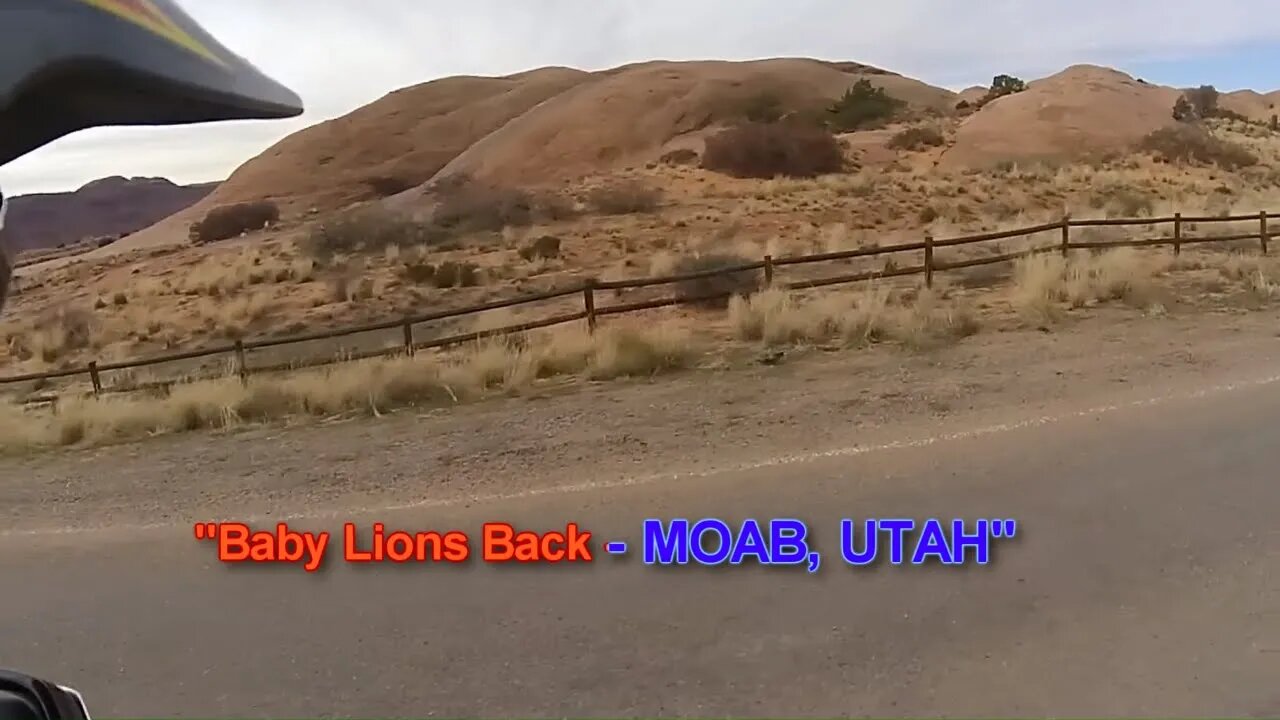 "Baby Lions Back - MOAB UTAH" Sand Flats Rd | Irnieracing