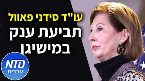 עו"ד סידני פאוול - תביעה בת 75 עמודים במישיגן