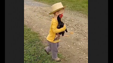 Young Cowboy Rounds Up Runaway Chicken & Gets A Farm Animal Escort Home - HaloRockNews