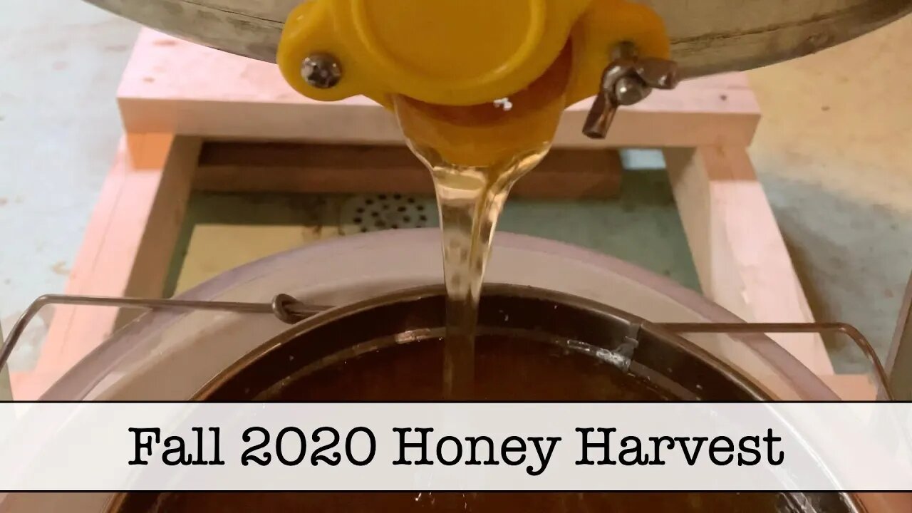 Fall 2020 Honey Harvest