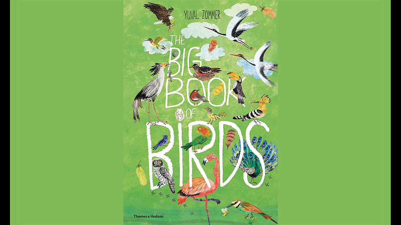 The Big Book of Birds