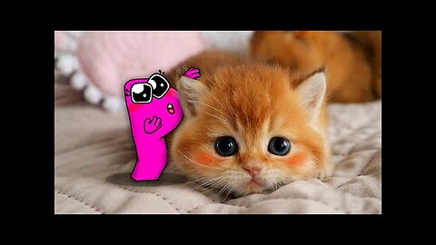 Best Funny Dogs And Cats Videos 😅 - Funniest Animals Videos 2023😇