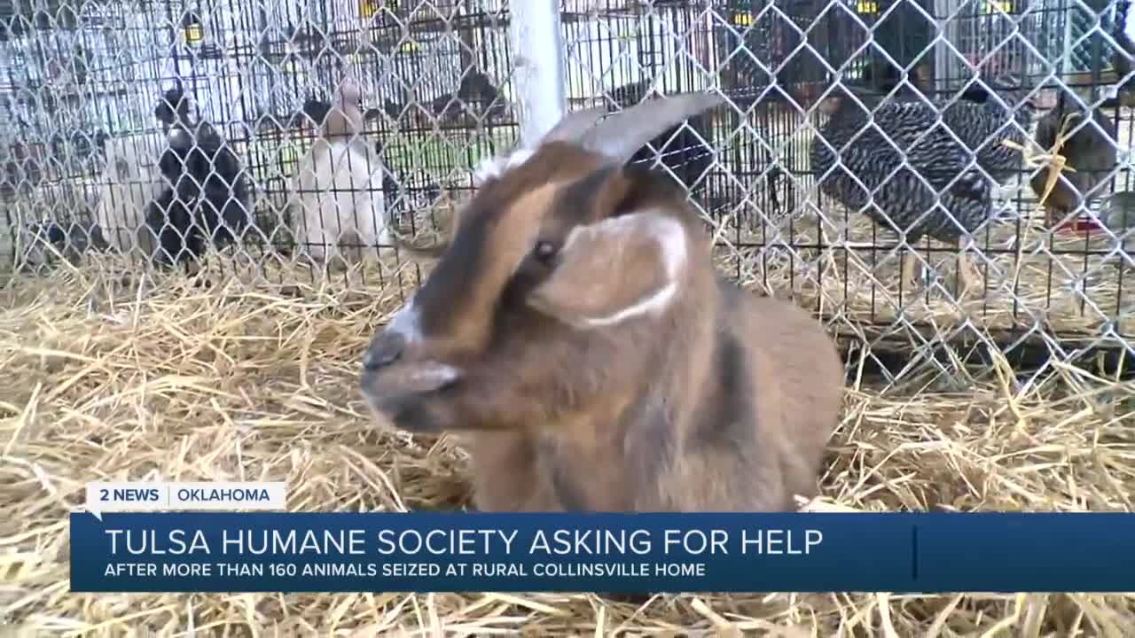 Tulsa Humane Society Asking For Help