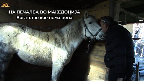 На Печалба во Македонија -