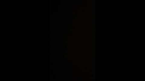 Professional E.S.G. score